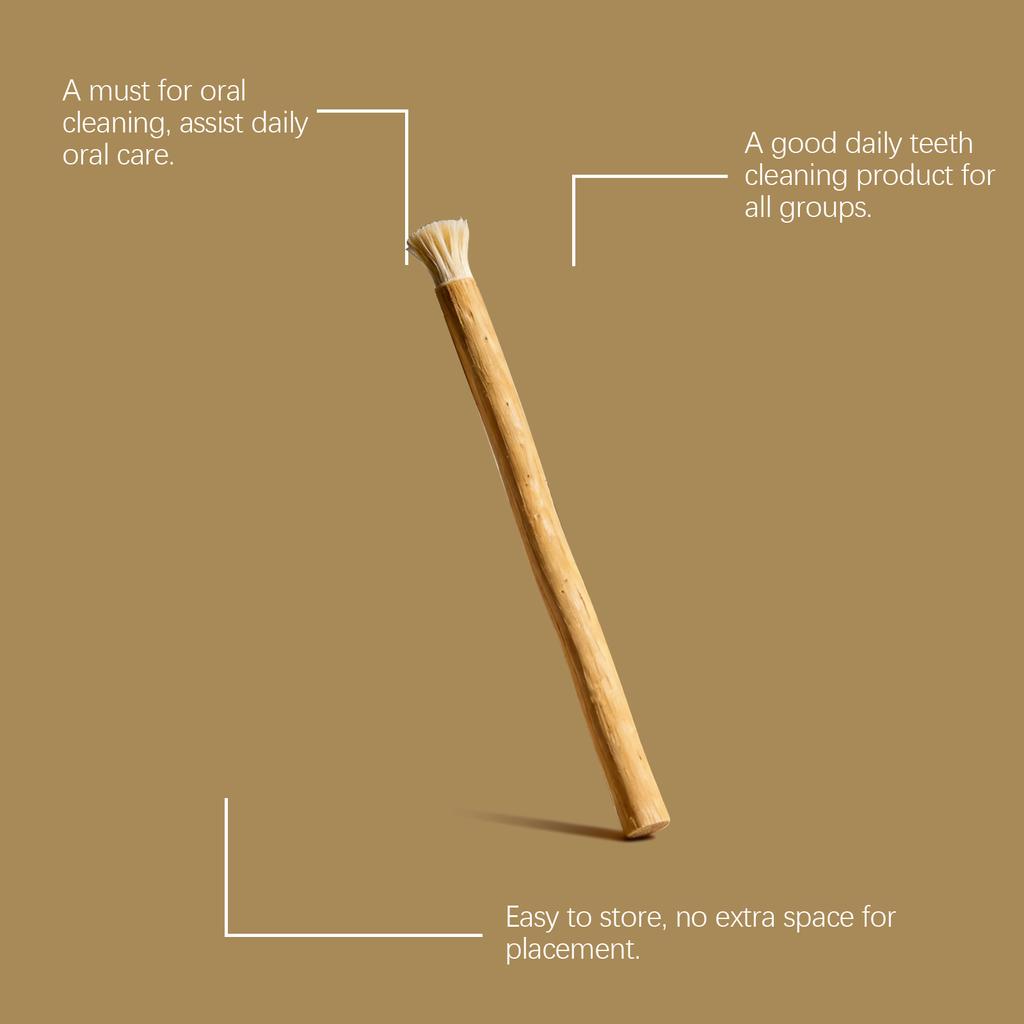 Twig Toothbrush Soft Bristles Manual Daily Cleaning