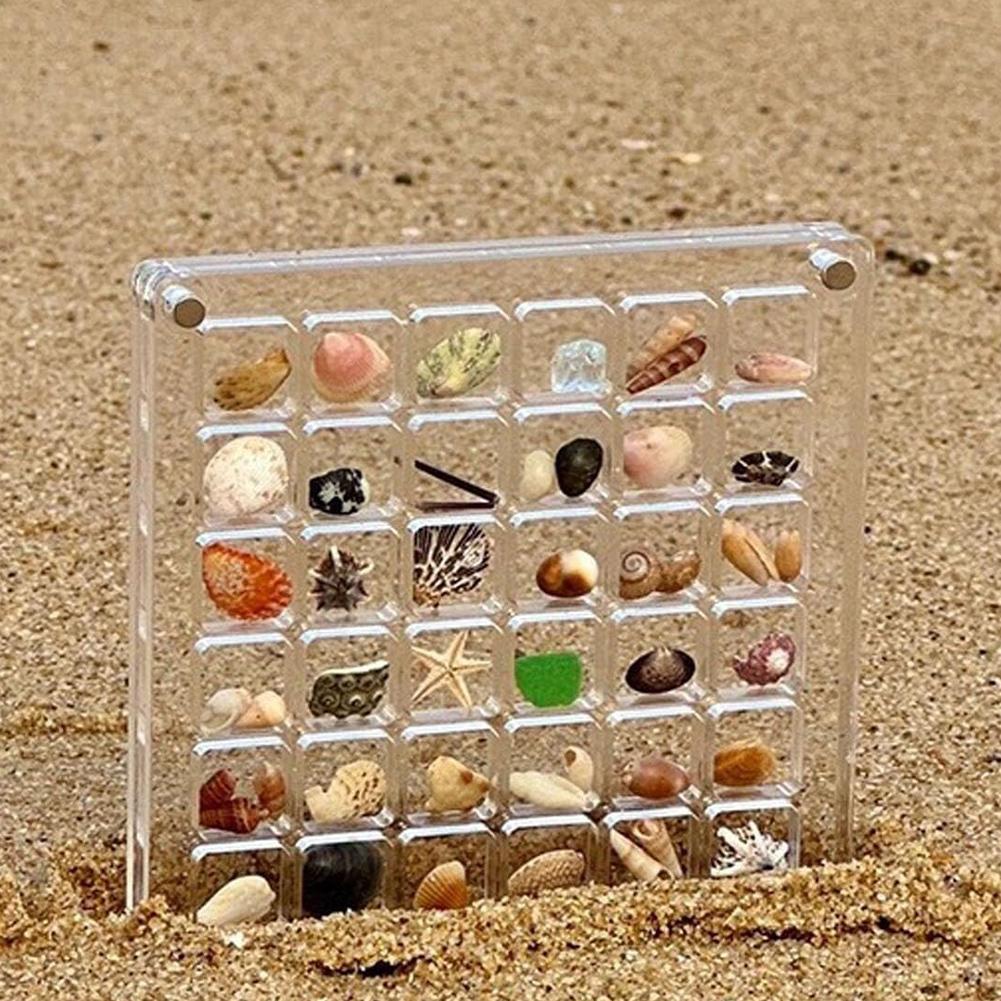 36/64/100 Grids Acrylic Seashell Display Box Case Clear Magnetic Storage Box Small Craft Container for Bead Nail Jewelry Holder