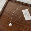 Spring and Summer Exquisite Necklace, Five-pointed Star Necklace, Fashion Light Luxury, Niche Flash Zircon Fringed Pendant Jewelry