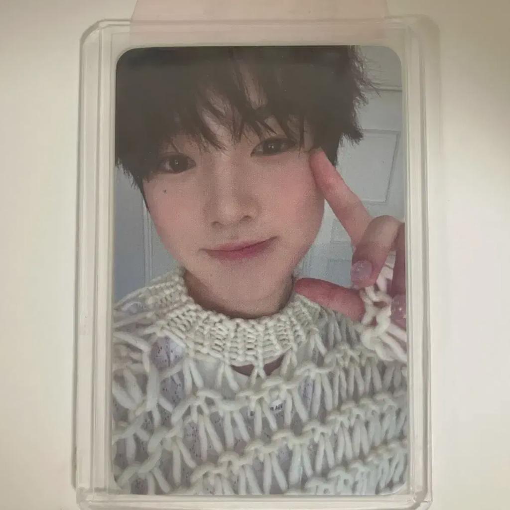 Nct Wish Sakuya Poca Steady Withmuu Lucky Draw