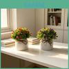 Full Sky Star Artificial Flower Pot For Home Decor And Photography Prop