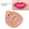 Silicone Nose Model with Mouth Flexible Soft Imitation Nose Model Reusable Nose Displays for Teaching