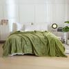 2024 New Warm Boluoge Beibei Velvet Blanket
