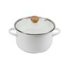 Pearl Metal Curry Pot 20cm Enamel with Glass Lid, IH Compatible, Only One Stage HB-6164