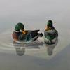 Resin Artificial Duck Statue Floating Animal Figurine Creative Swan Sculpture  Home Decor