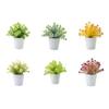 Artificial Green Plant Non-withered Create Vitality Long Service Life Durable Wedding Centerpiece Simulation Potted Plant Bonsai