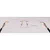 RSINC RimLess frame/eyeglass/Spectacle, Optical, Metal For Men And Women,  Play Gold Silver Black 3120 53-18-145 (IB-2) M1