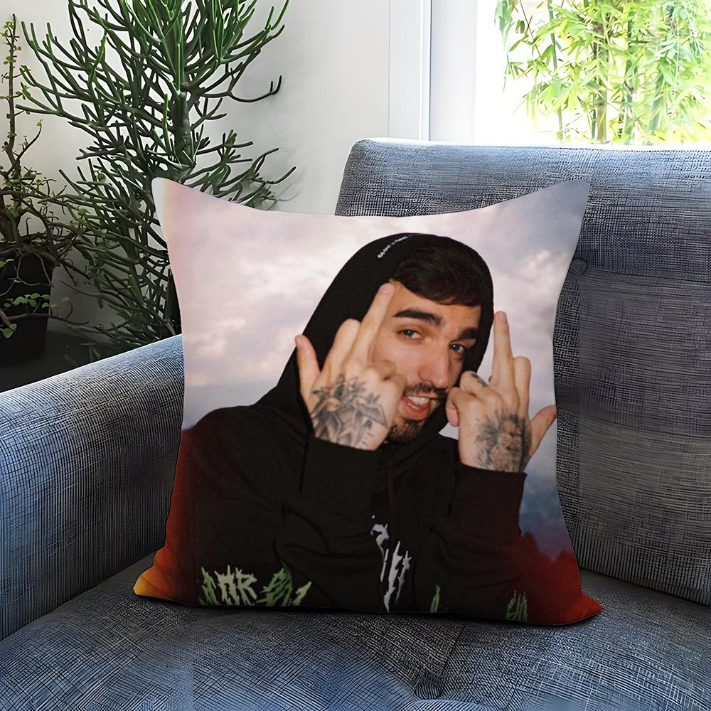 Singer D-Daniel A-Avery Kissenbezug Bequem Wendbarer Kissenbezug Ideal für Auto Sofa Schlafzimmer & Mehr