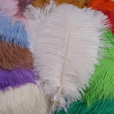 50 stuks Struisvogelveren voor Knutselen Bruiloftsdecoratie Handwerkaccessoires Tafelstukken Carnaval Pluimen Decor Groothandel