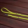 Hexa City Dog Leash, Width , M, /Neon