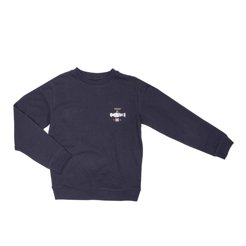

Толстовка Trust Us с круглым вырезом для детей DC SHOES 10 ans темно-синий