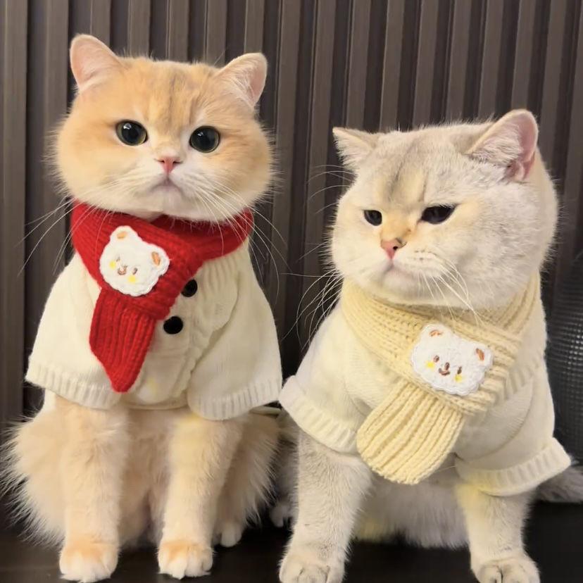 Winter Warm Puppy Dog Cat Scarf Cute Christmas Pet Accessories Small Medium Dogs Poodle Yorkshire Scarves Mascotas Products