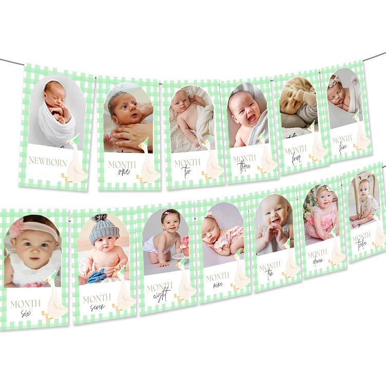 Pink One Silly Goose 1st Birthday Baby Photo Banner Decor Girl 12 Months Silly Goose First Birthday Party Decorations Supplies Favors