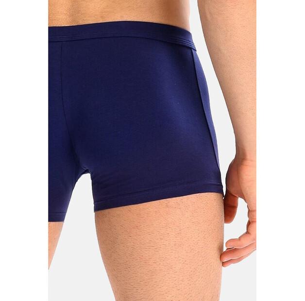 Боксеры Teyli Levi