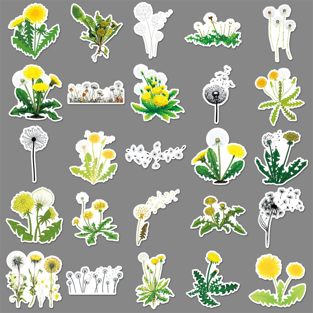 50 Dandelion Graffiti Stickers Personalized Small Fresh Plant Flowers Decoration Mobile Phone Water Cup Waterproof Stickers
