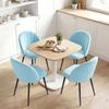 Set of 2 Padded Dining Chairs with Shell Backrest in Velvet, 52x55x79 cm, Light Blue