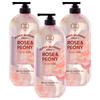 On the Body Super Botanic Body Wash Rose & Peony Scent 900g 3 Pcs