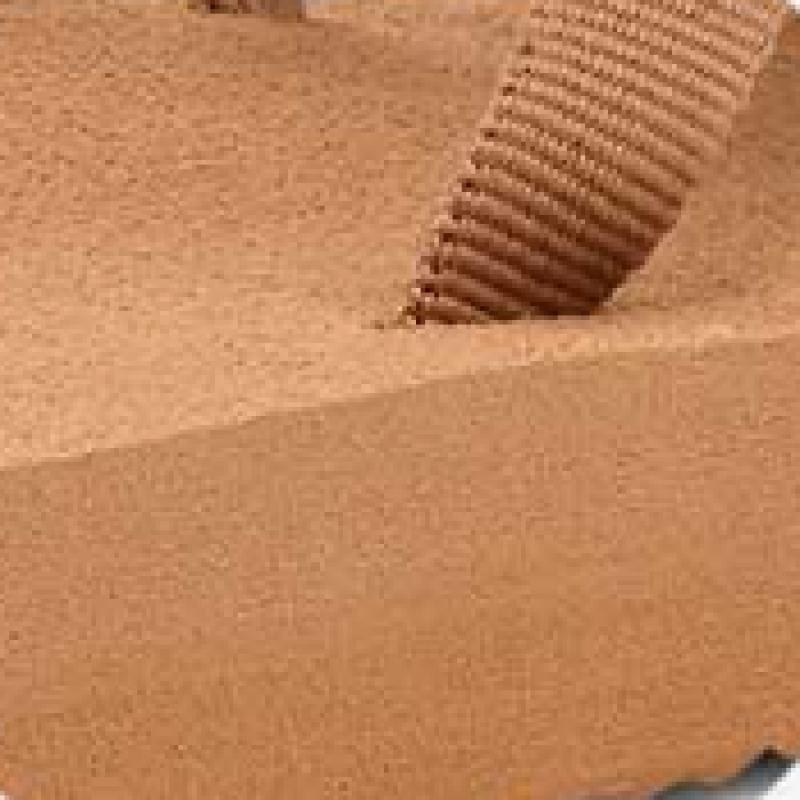 Teva Women S Flip Flop Stvf2516840 Tnz