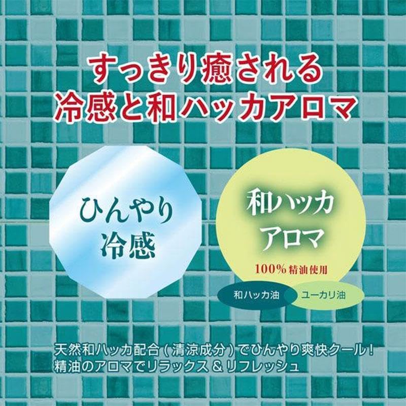 Junsohada Japanese Mint Scalp 485ml x 2 Cosmetex Roland Cool Refreshing Cleansing Shampoo, bottles, Aroma,