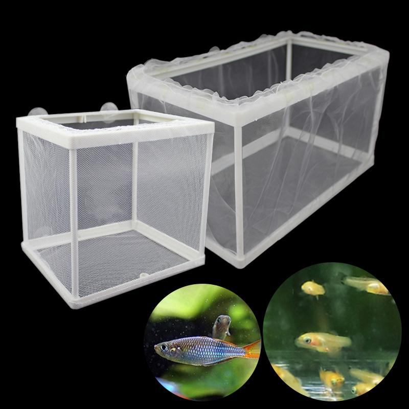 plastic bin fish tank