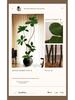 Luxury Indoor Black King Kong Artificial Green Plant - Large Potted Floor Ornament for Living Room Decoration
