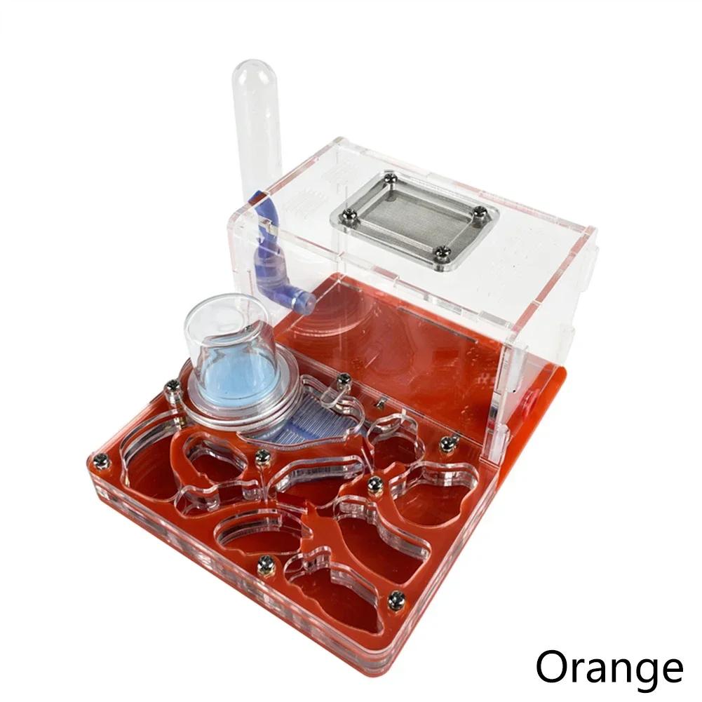 DIY Acryl Flat 3D Ant Farm Ant Nest with Feeding Area Ant House Insect Villa Pet Anthill Workshop with Moisturizing Water Tower
