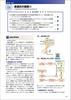QUICK Physiology and Anatomy: Structure, Function, and Pathophysiology of the Human Body