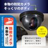 OHM Monban Fake Security Camera Dome Type Constant Flashing 24-Hour Indoor Entrance Battery-Powered Theft Prevention OSE-PDCW1