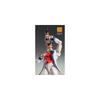 Super Action Statue JoJo's Bizarre Adventure Part 1 Will A. Zeppeli 160mm PVC ABS Nylon Painted Action Figure