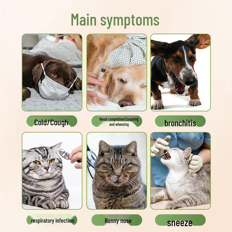 Doxycyclin HCl Tabletten für Erkältung und Atemwegsprobleme bei Haustieren