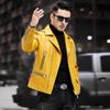 Spring and Autumn New Leather Jacket Locomotive Leather Jacket Men's Slim Fit Handsome Youth Men's Jacket Trend