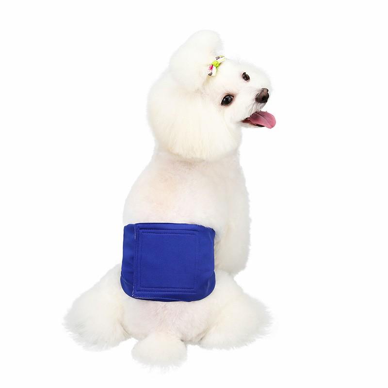 Male Dog Diaper Pants Waterproof Leak-Proof Absorbent Underwear Golden Retriever Large Breeds