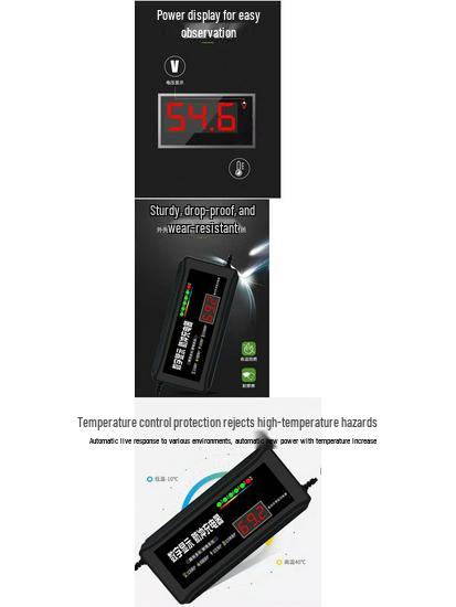 Universal Battery Charger & Repairer for Electric Vehicles 48V/60V/72V Pulse Maintenance Lead