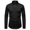 Autumn Fashion Men's Embroidered Long Sleeve Shirt High Quality Vintage Luxury Male Casual Solid Social Wedding Party Business