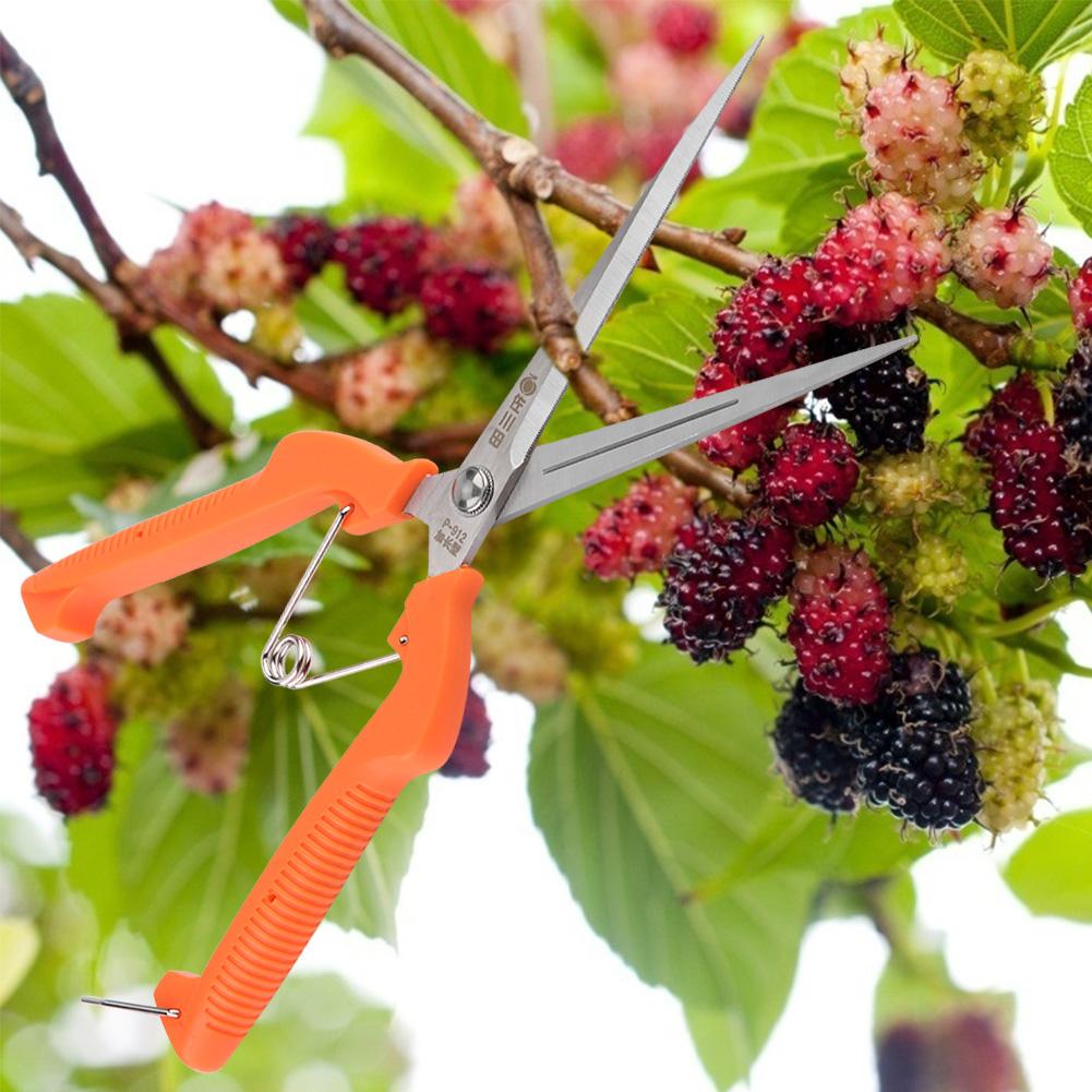 250mm Pruning Shear Cutter Gardening Plant Flower Scissor Branch Pruner Garden Tool KTY