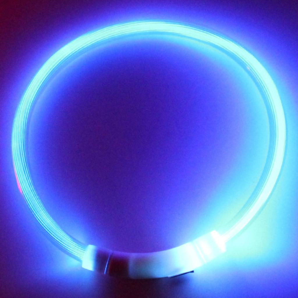 Nové LED světlo na obojky pro psy USB dobíjecí svítící obojky s bleskem pro domácí mazlíčky