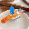 Korean Style Animal Hair Clip Creative Bird Shark Clip Creative Acetate Hair Claw  Female