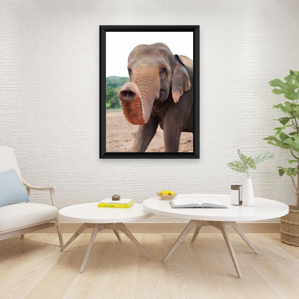 DIY 5D Diamant Malerei Tiere Elefant Stickerei Kreuzstich Kit voller Rundbohrer Mosaik Wand Kunst Harz Geschenk Home Decor