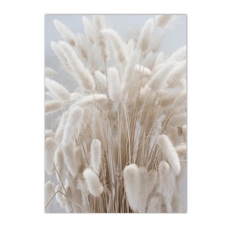 Béžový Bunny Tail Grass Nástěnné plakáty Přírodní pampy Reed Obraz na plátně Květinový umělecký plakát Malba Severské nástěnné obrazy Home Decor