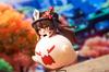 Apex Legends (Apex Legends) Genshin Impact Kurumi Chibi Character Swinging Stand Non-Scale PVC & ABS & Metal Painted Complete Figure
