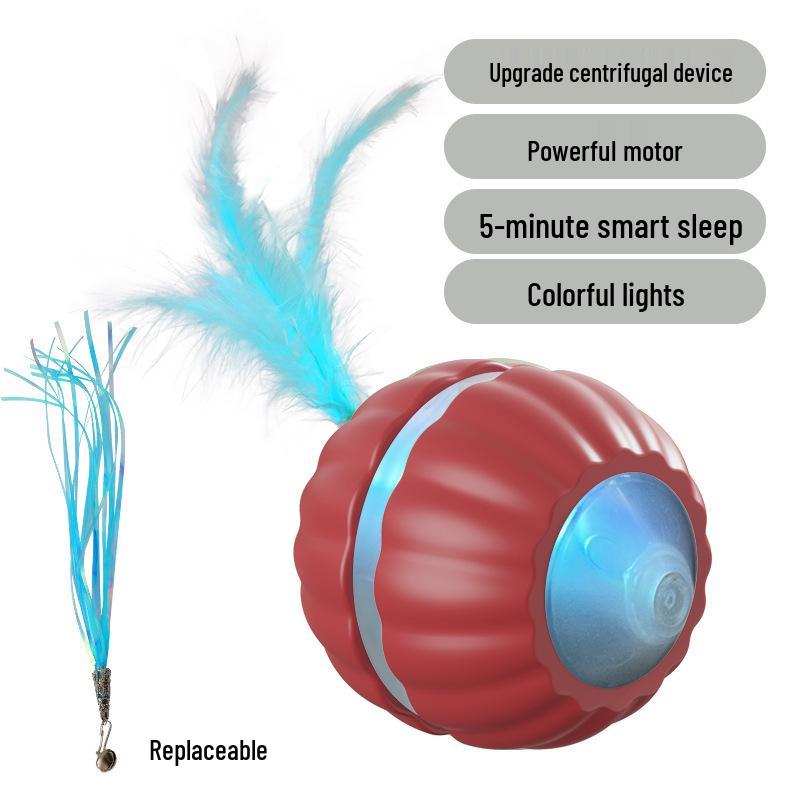 Electric Interactive Cat Teasing Ball and Stick Kitten Toy