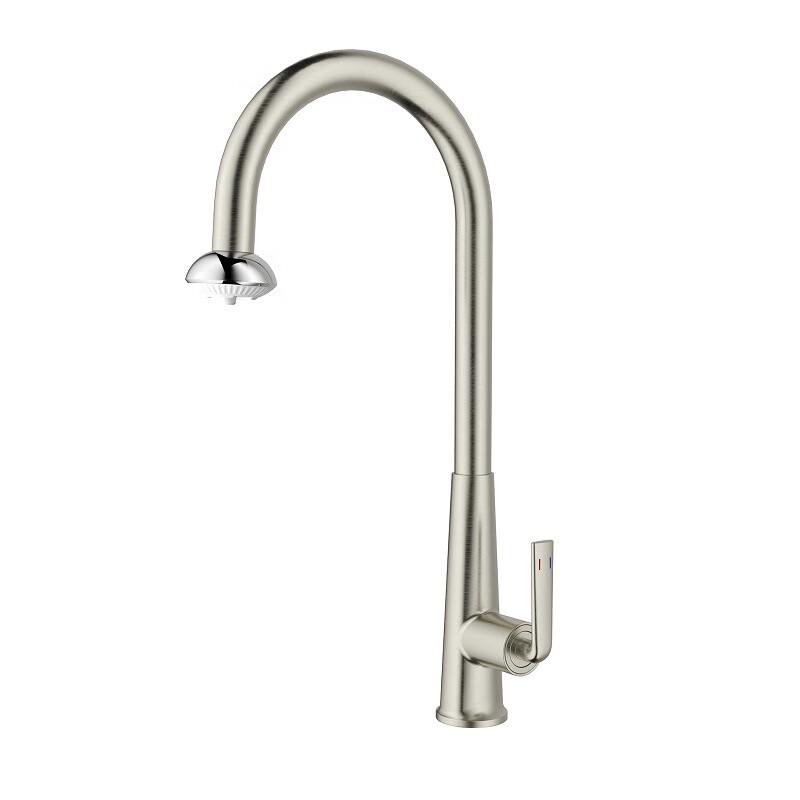 TLXT Kitchen Pull-Out Sprayer Faucet