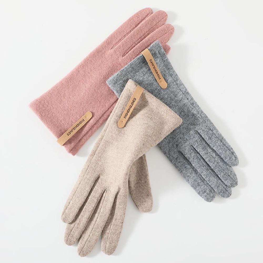 Keep Warm Winter Gloves Windproof Women's Gloves Fashion Cashmere Gloves  Drive