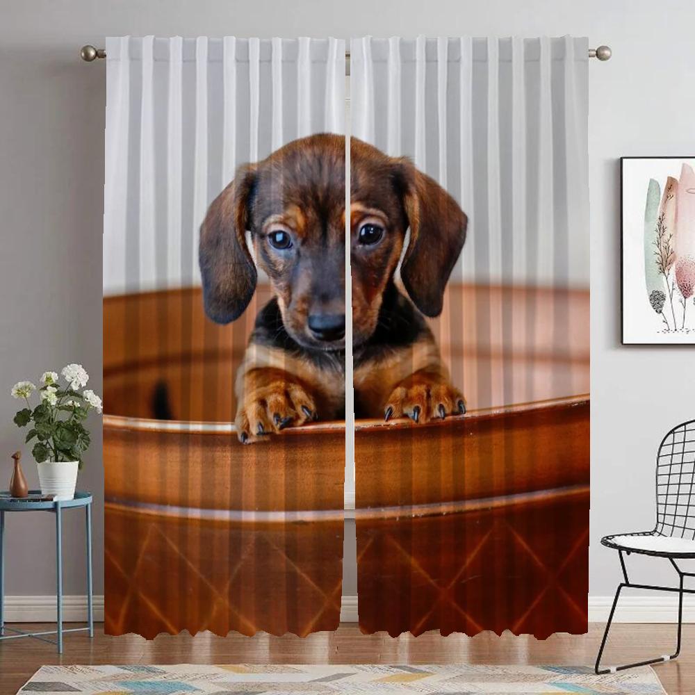 Dachshund Home Interior Curtains 2 Pieces Modern Living Room Curtains for Camera Tulle for Bedroom Blackout Curtain Shades Child