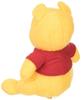 MY PICTURE Pooh Plush Toy