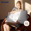 Irisette German Washable 95% White Goose Down Pillow