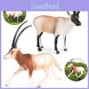 Wild Tibetan Antelope Solid Plastic Model Set For Kids Educational Play And Collecting