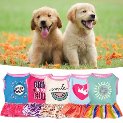 Giyim ve ayakkabı – Köpek elbiseleri