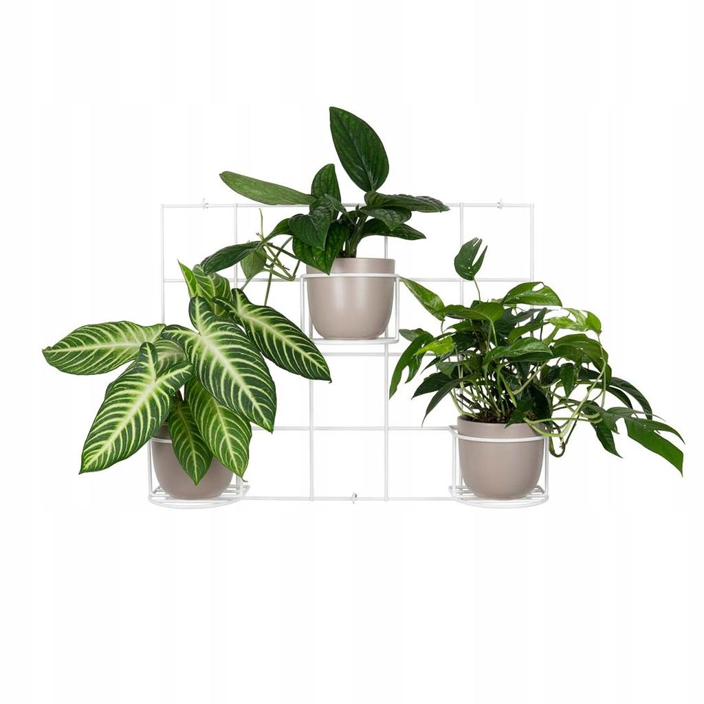 Hedera 3 White Metal Wall Planter with 3 Baskets - Hanging Trellis for Pots and Herbs in Boho, Vintage, and Village Country Style