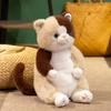 Stuffed Cat Simulation Doll Animal Cartoon Plush Toys Decoration Gifts Kids